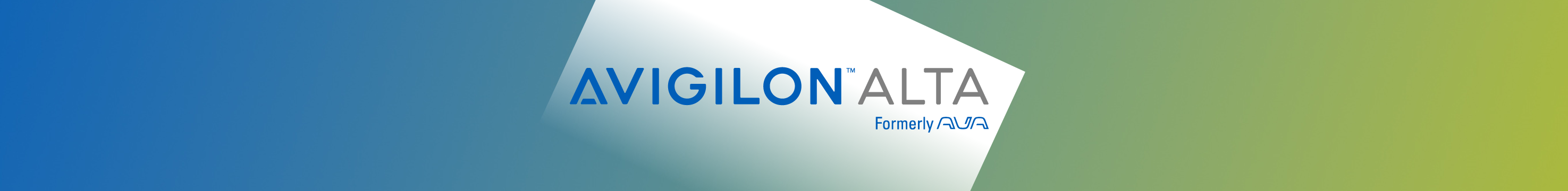 Avigilon Alta Formerly Ava Security Avigilon Alta Formerly Ava Security