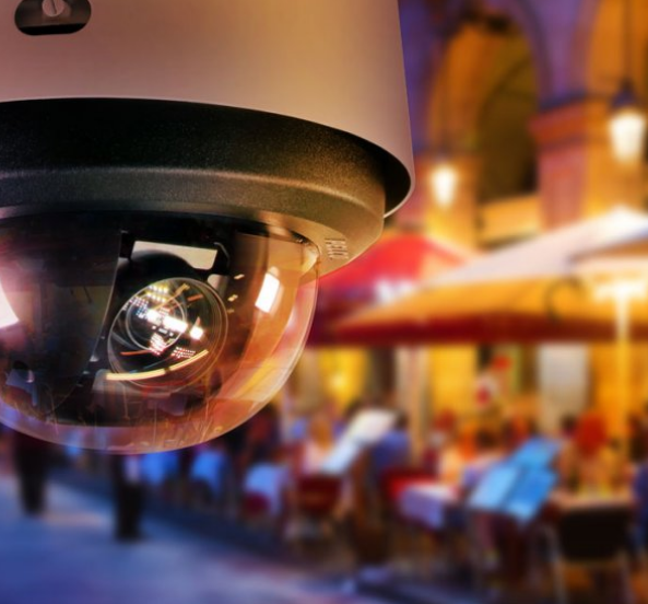 Pelco Spectra Enhanced Dome Pelco Spectra Enhanced Dome
