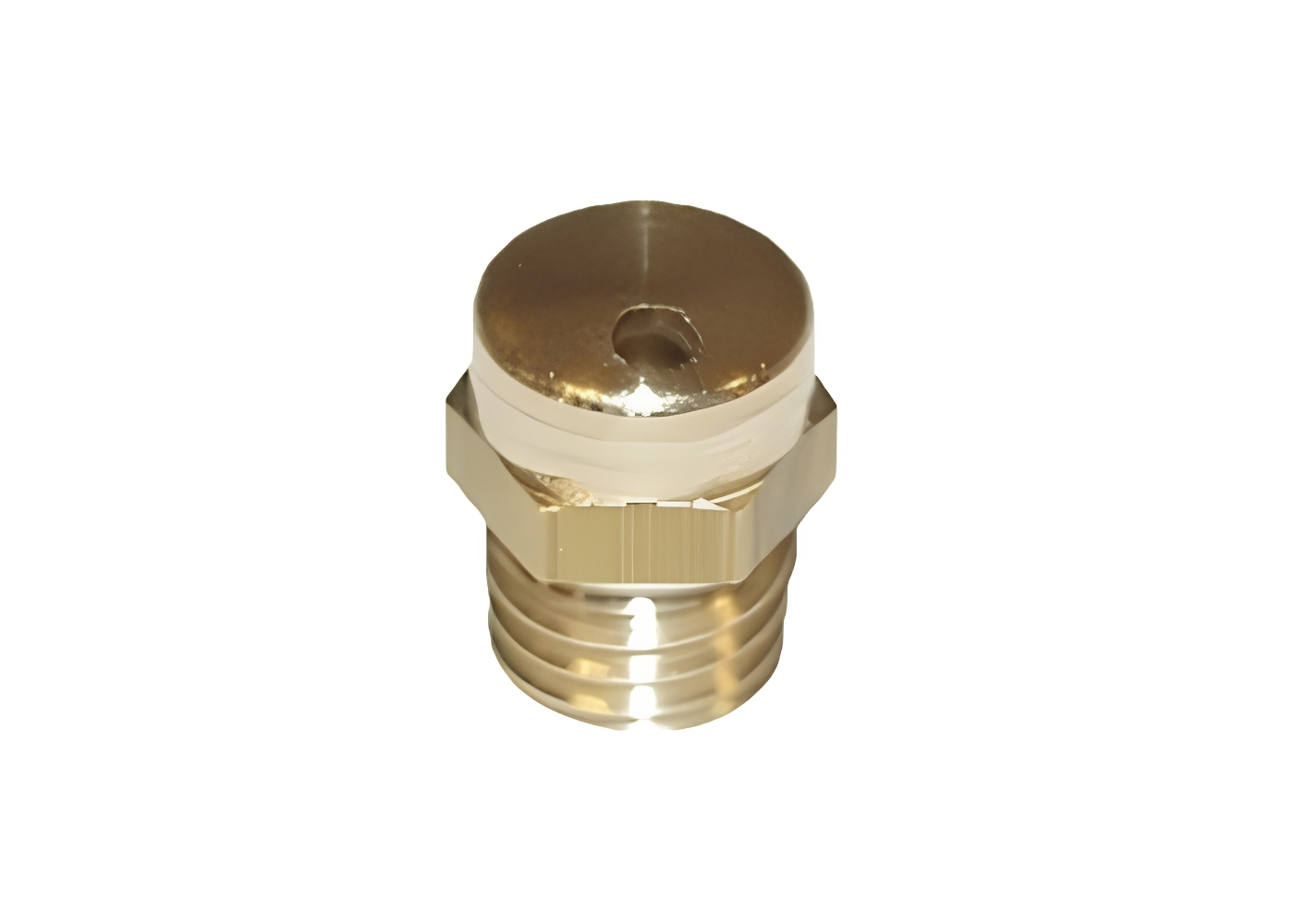10033020 30° spuitmond tbv Protect 2200