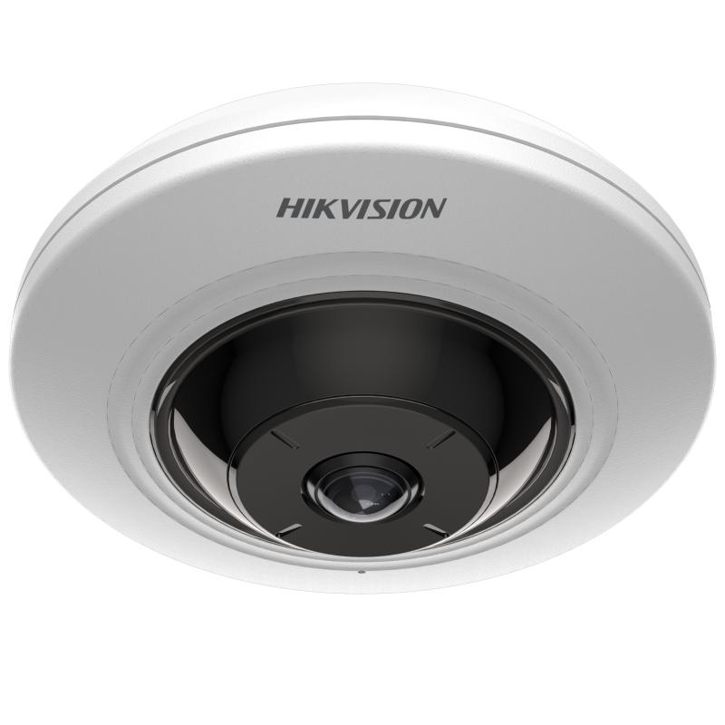 IP Fisheye camera