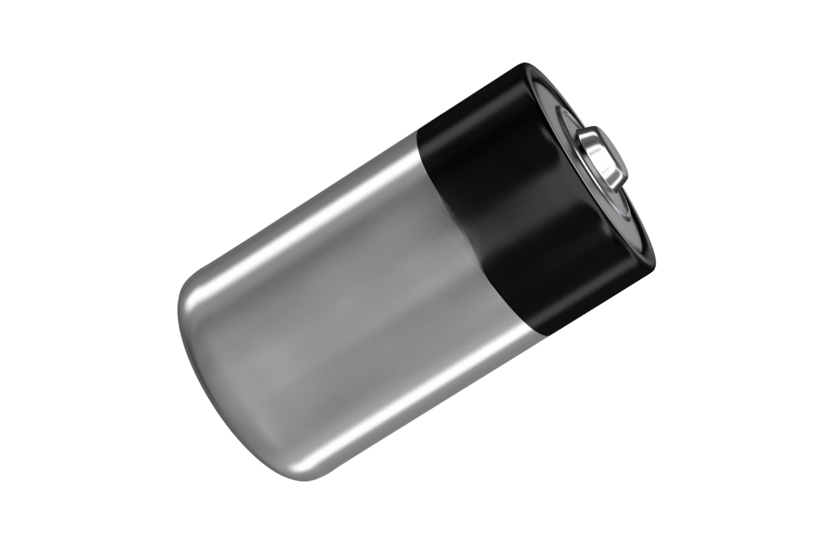 30041528 1,5V batterij voor Dorgard en Dorgard Pro